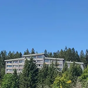 Apartment Panorama Bayerwald, Neureichenau
